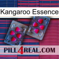 Kangaroo Essence 15